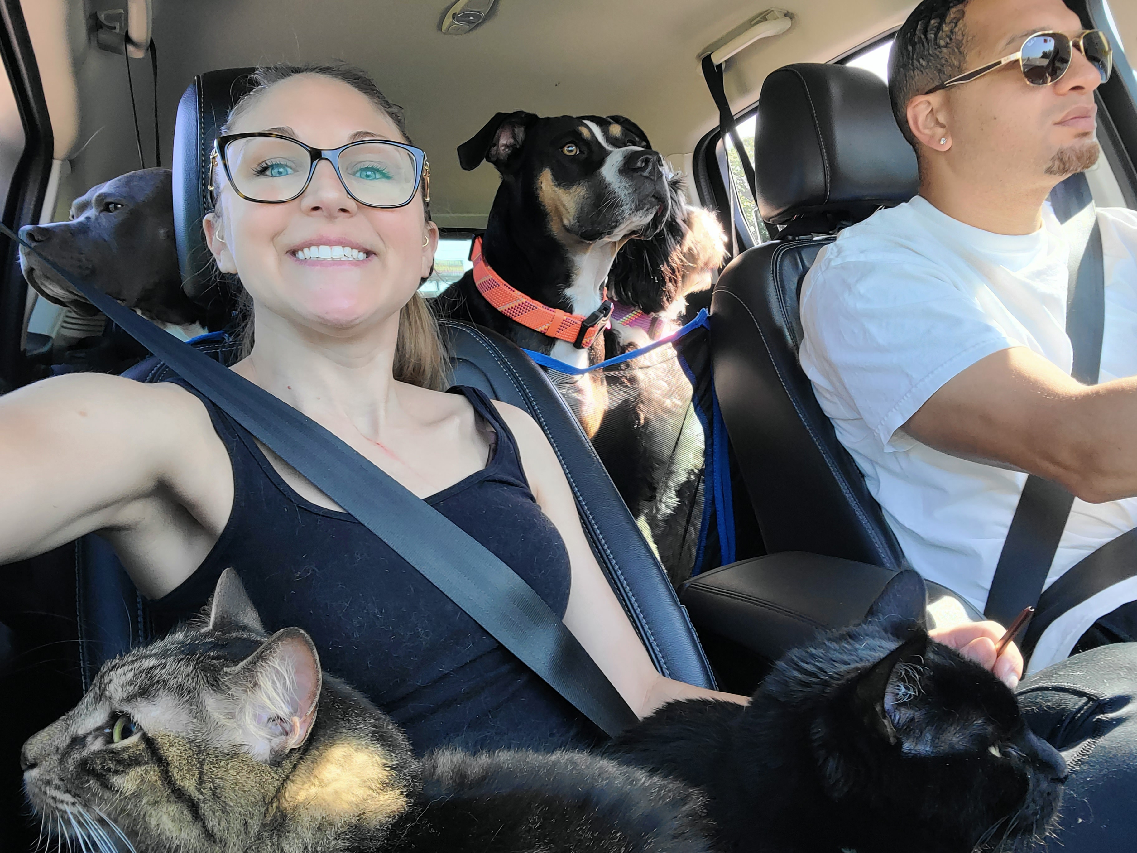 Annual trip to the Vet!